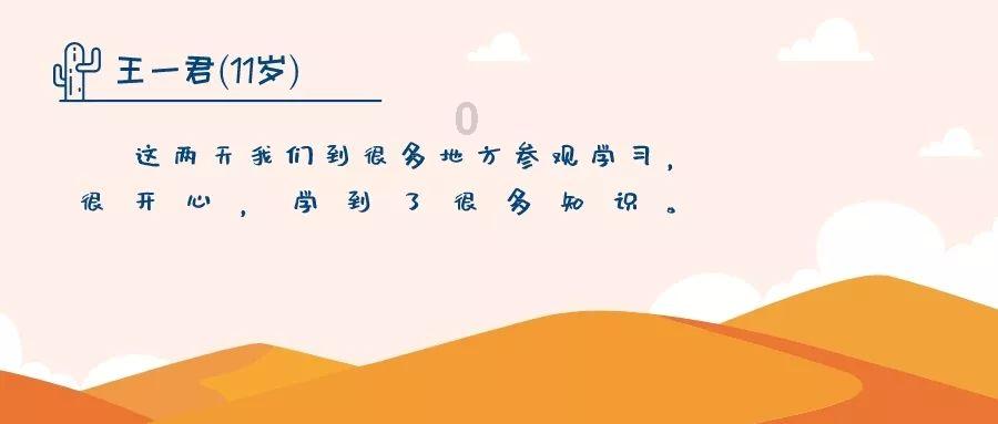 棒球训练赛