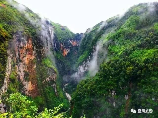 上线首日就凉凉?《自杀小队》在线峰值仅7千人